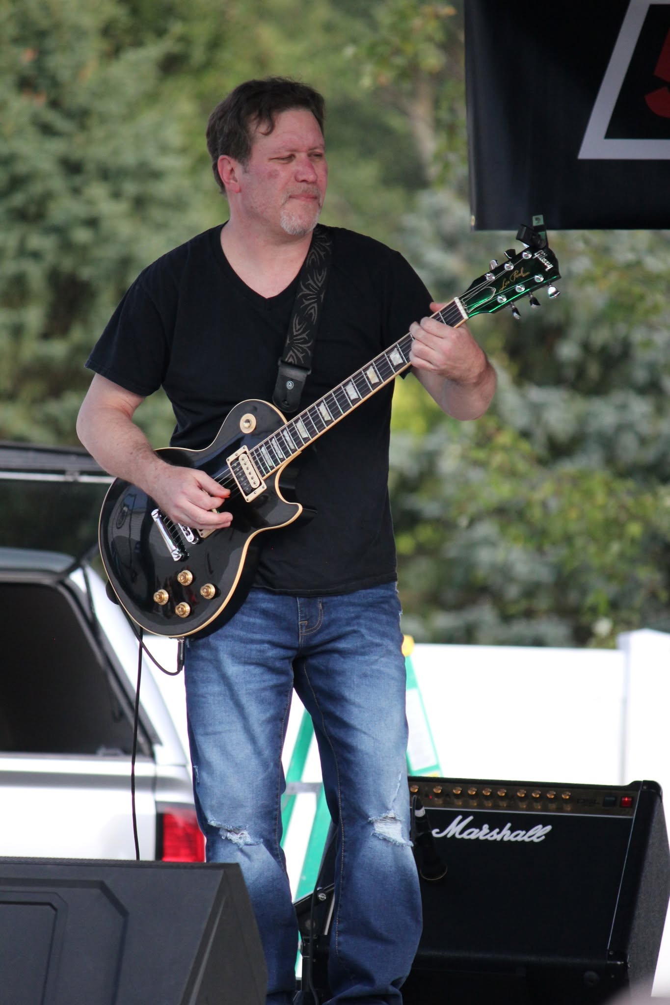 Scene from the Irish Hills Music Festival